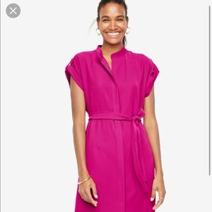ANN TAYLOR Fuchsia Dress